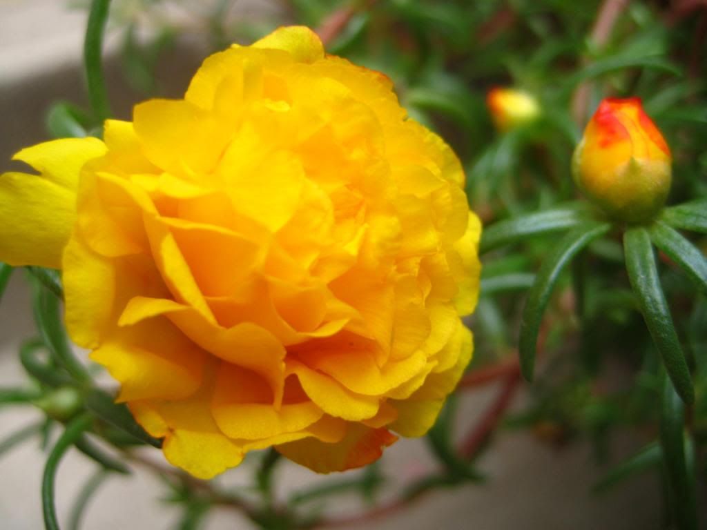  photo 15_zpsfccc8025.jpg