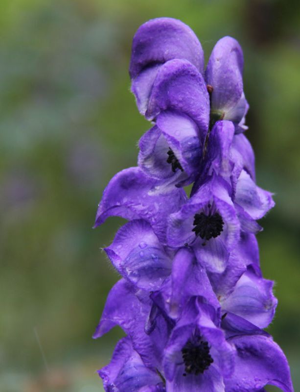  photo 16_zpsa425b0d6.jpg