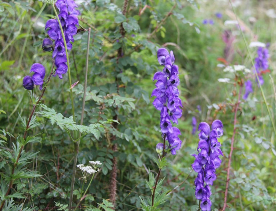  photo 17_zpsd2092938.jpg