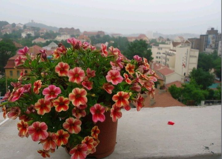  photo 18_zps01975ae8.jpg