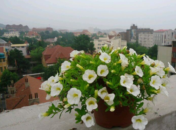  photo 19_zps5fe95064.jpg