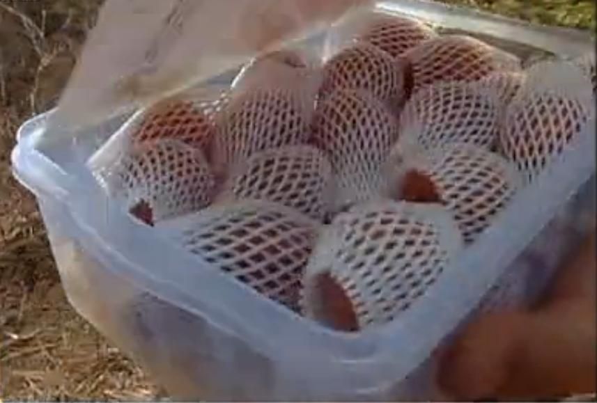  photo 1_zps228e684a.jpg