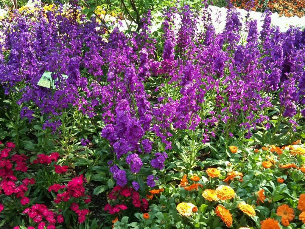  photo 1_zps280804b3.jpg