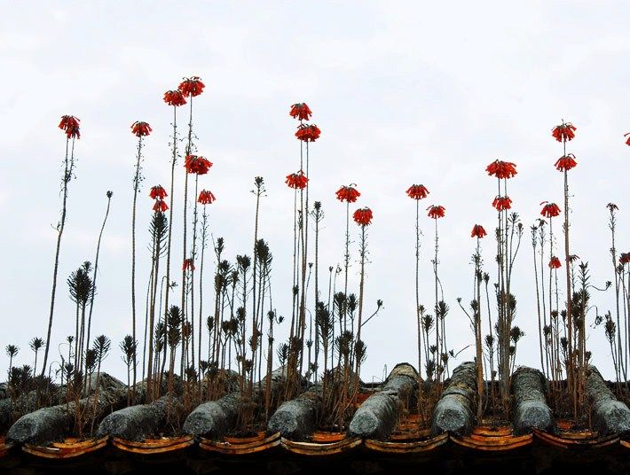  photo 1_zps4bec6a2c.jpg