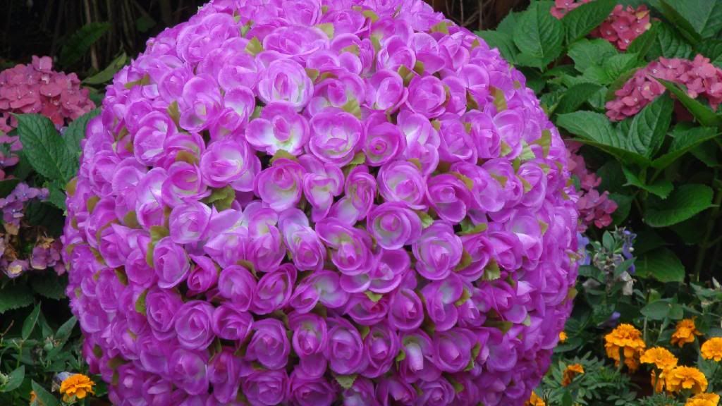  photo 1_zps4e4b768c.jpg