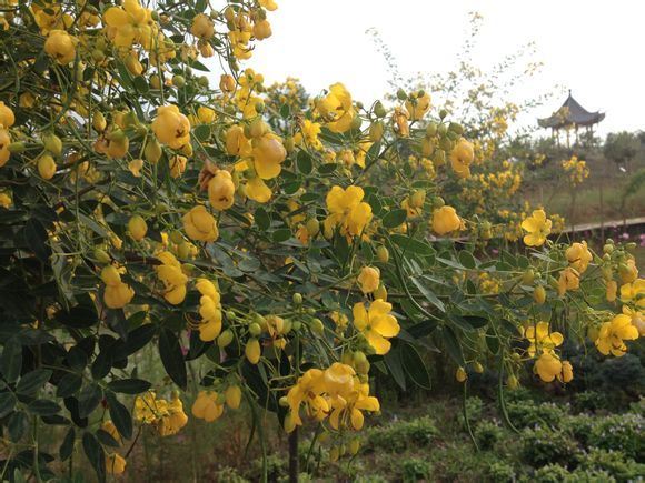  photo 1_zps5d0ddc55.jpg