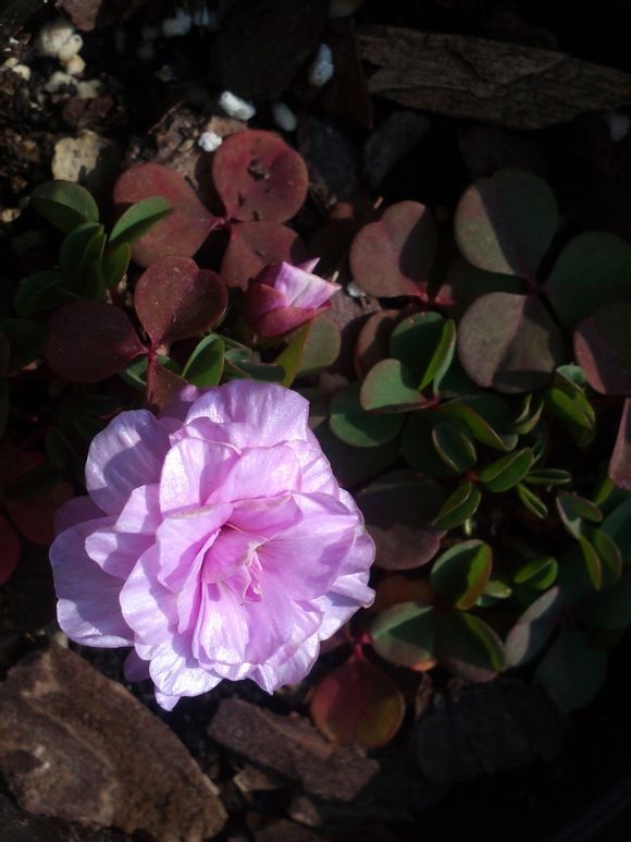  photo 1_zps82e025b0.jpg