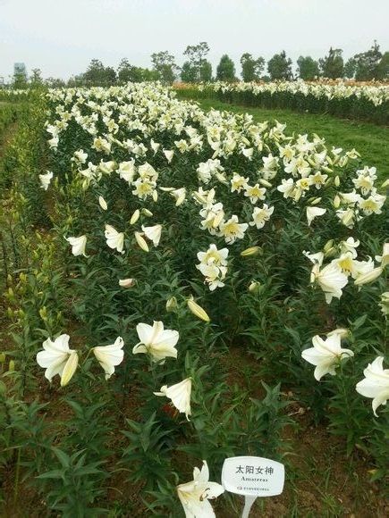  photo 1_zpsa25cd7e2.jpg