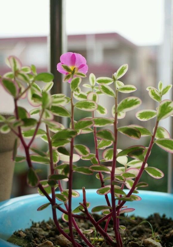  photo 1_zpsaae7d700.jpg