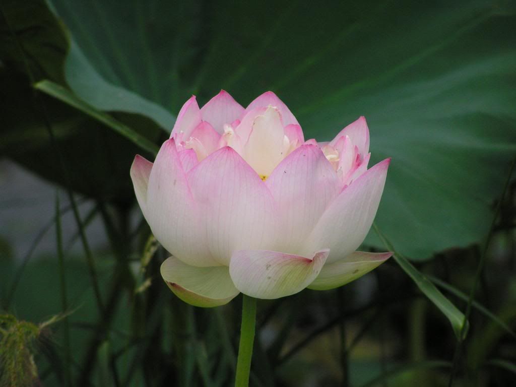  photo 1_zpsb40ffe8f.jpg