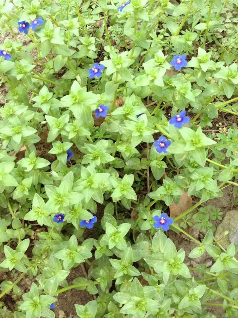  photo 1_zpsbd96acd8.jpg