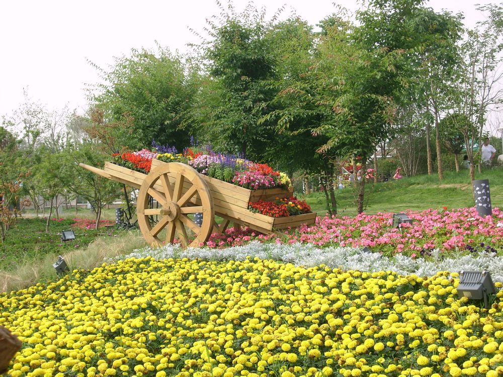  photo 1_zpsc5c6ffdc.jpg