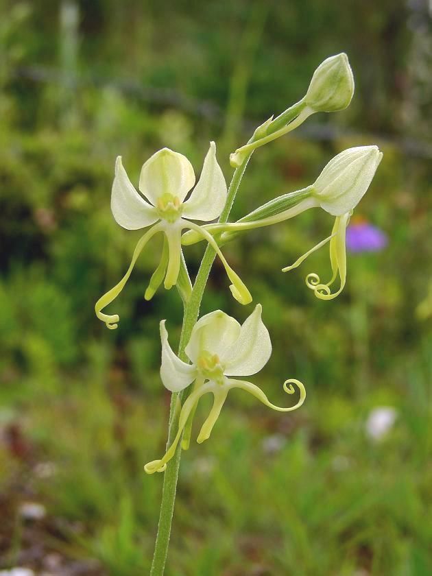  photo 1_zpsf317f768.jpg