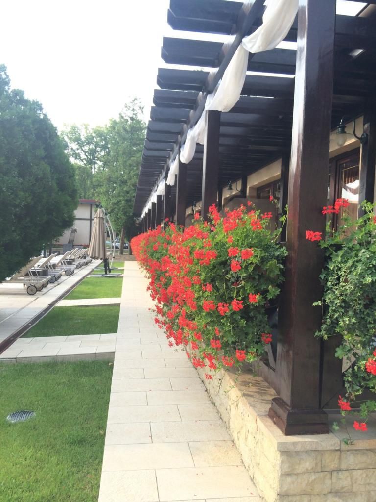  photo 1_zpsf87d72c9.jpg