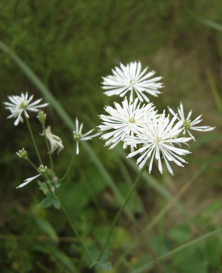  photo 20_zpsa3924920.jpg