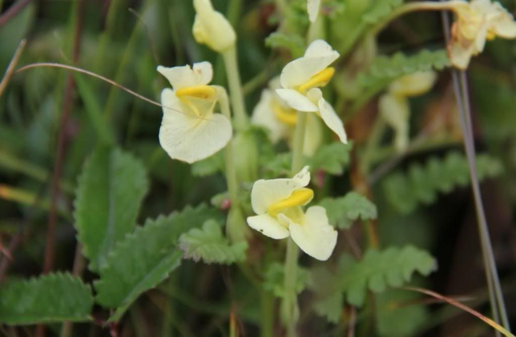  photo 22_zpsad476f8b.jpg