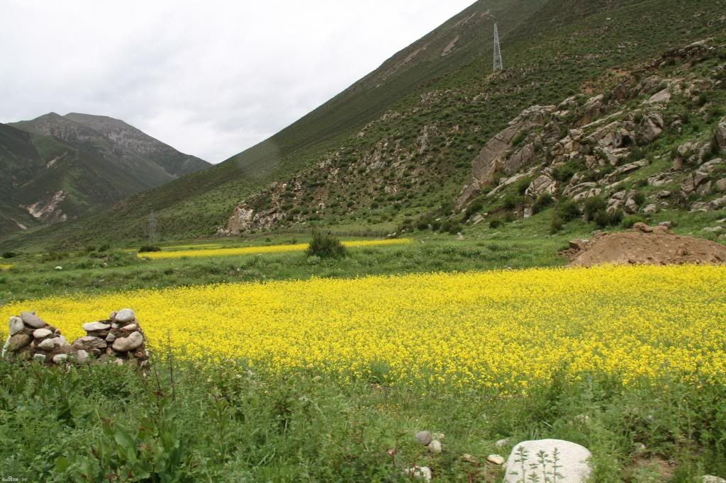  photo 23_zps3684ed70.jpg