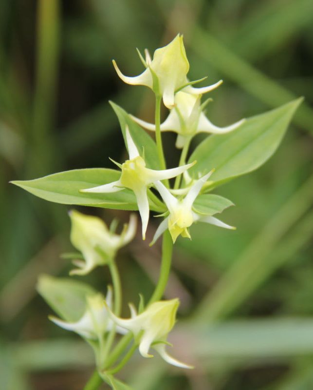  photo 25_zpse0bc56f9.jpg