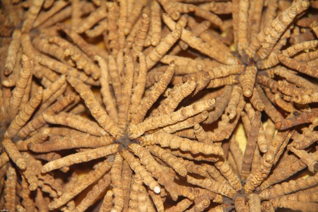  photo 25_zpsf79c7159.jpg