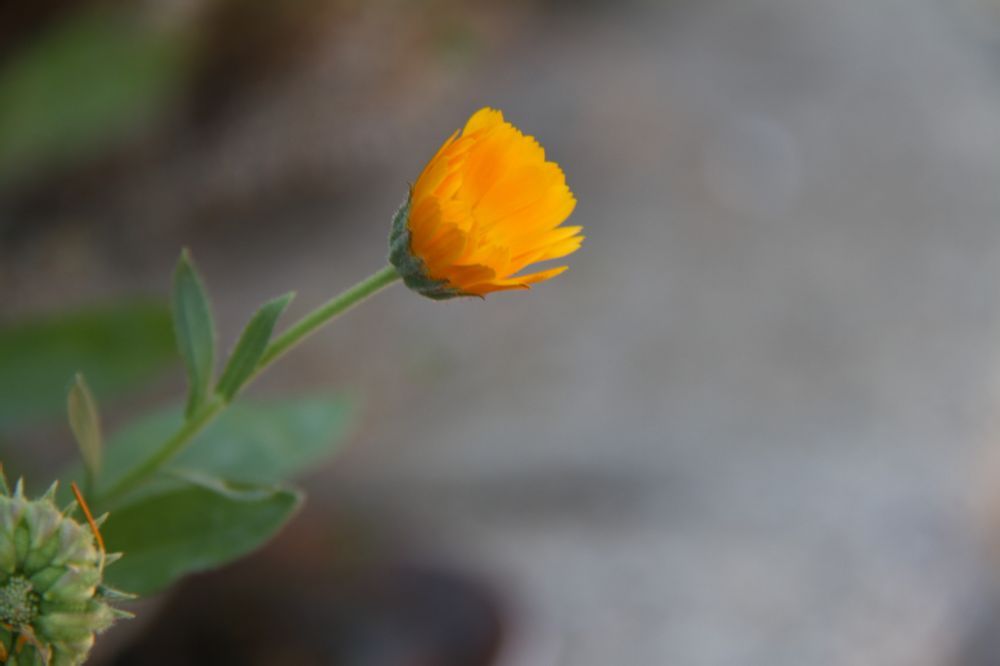  photo 26_zps518acc75.jpg