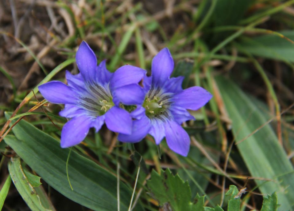  photo 26_zpsfa082724.jpg