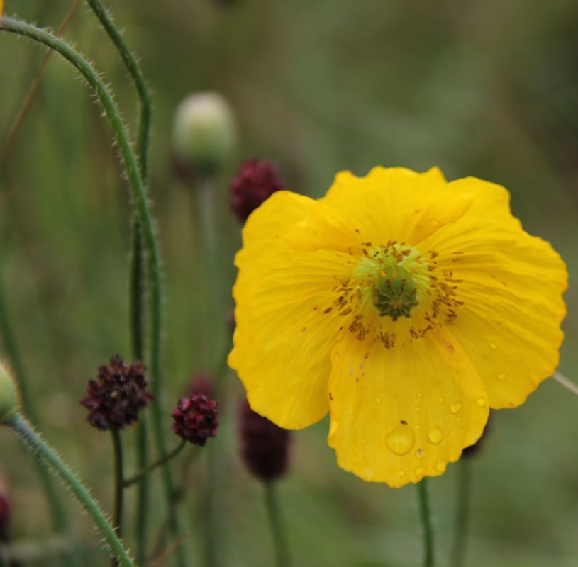  photo 27_zps1db79c00.jpg