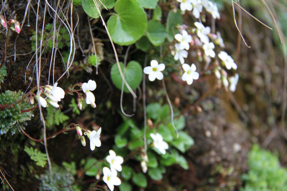  photo 27_zps47ce49a5.jpg