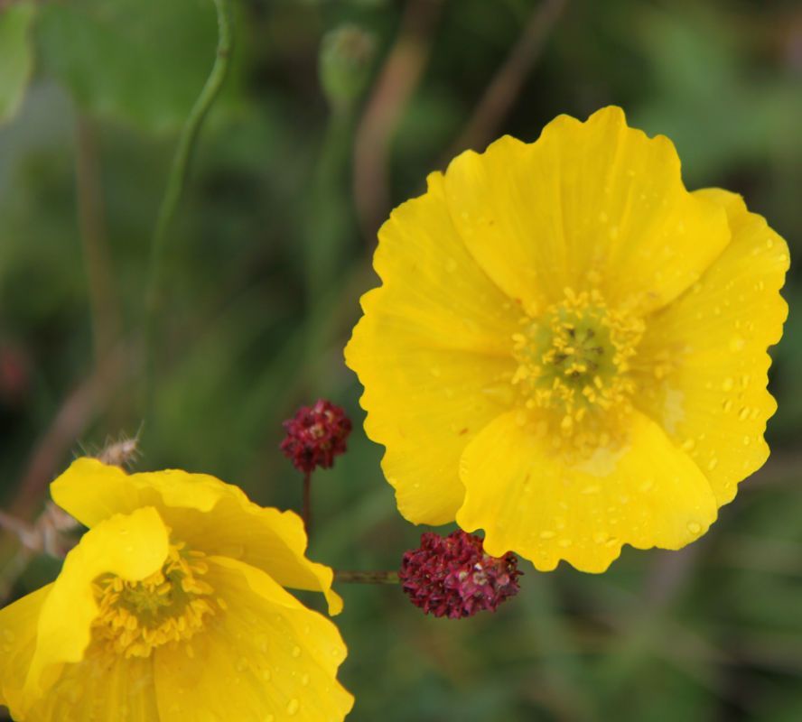  photo 28_zpse3a99232.jpg