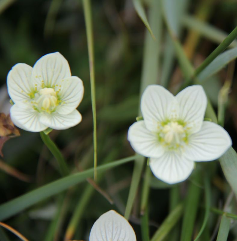  photo 29_zpsd5f63bf6.jpg