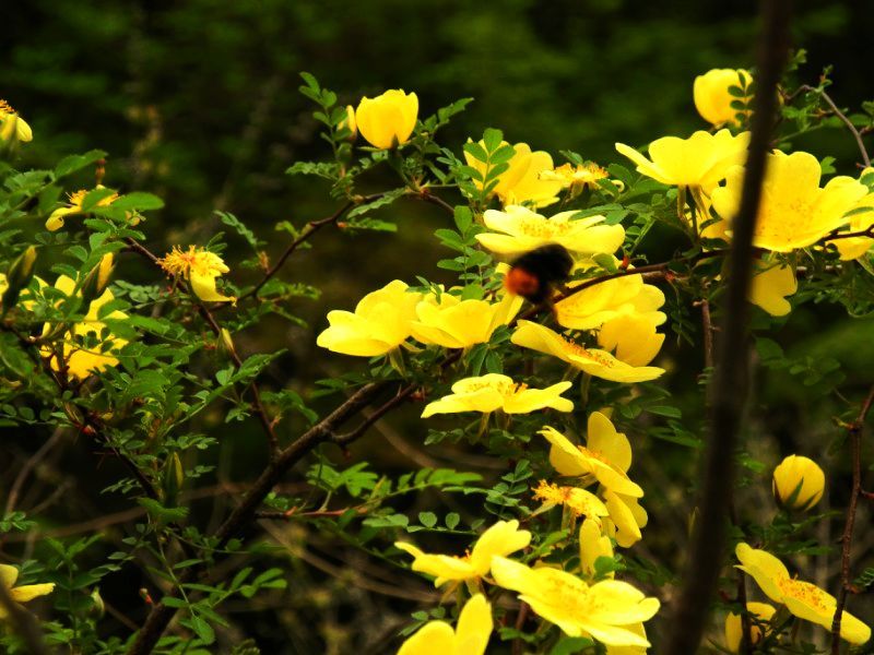  photo 2_zps12181a56.jpg