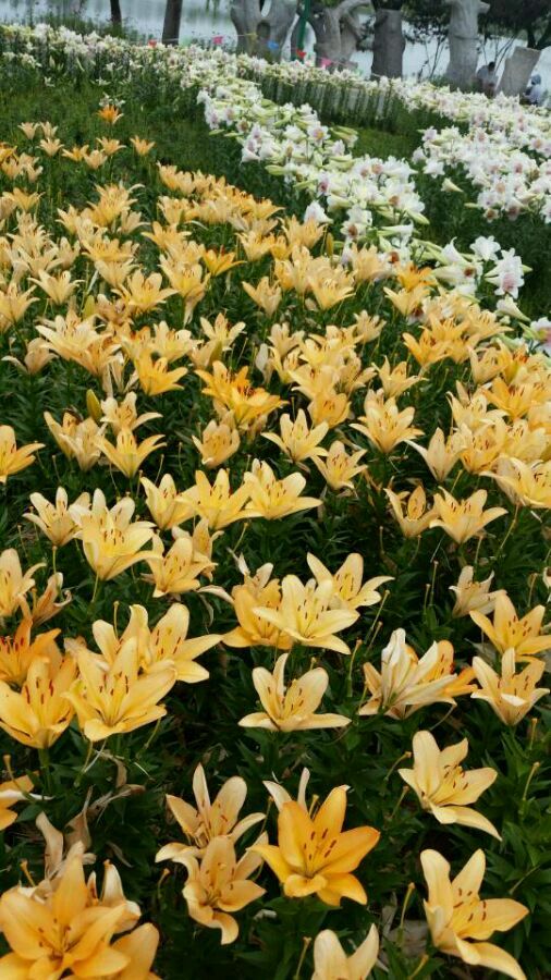  photo 2_zps14b5266a.jpg