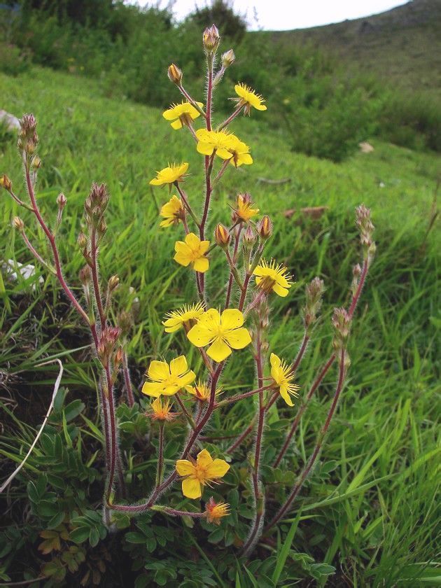  photo 2_zps1739f12d.jpg