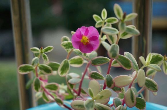  photo 2_zps2d239473.jpg