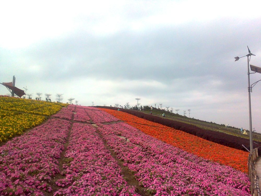  photo 2_zps41422484.jpg