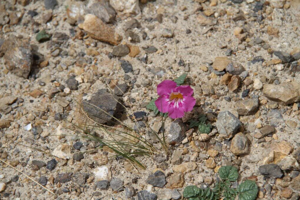  photo 2_zps4325ca9b.jpg