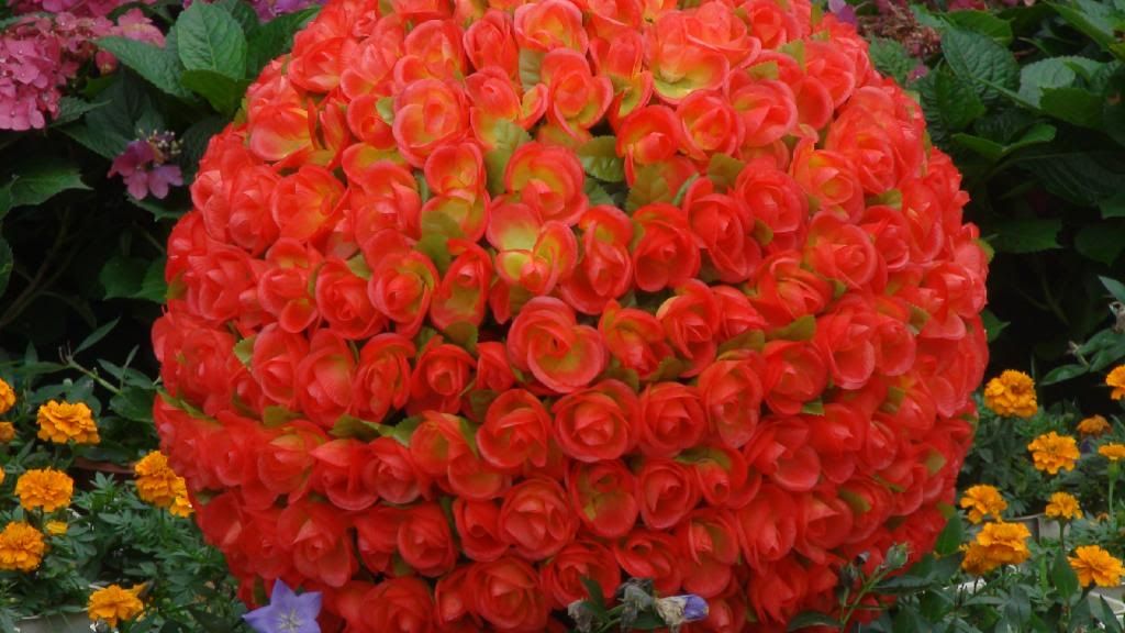  photo 2_zps632f0dc0.jpg