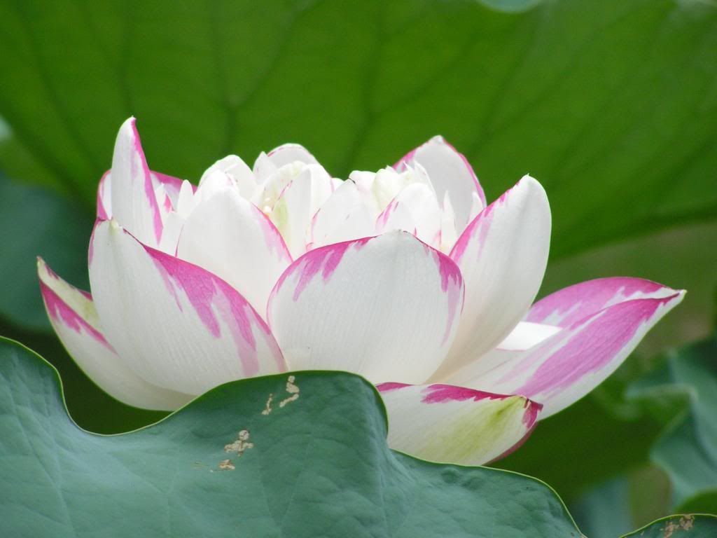  photo 2_zps787bb919.jpg