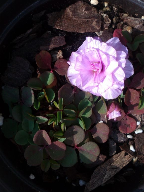  photo 2_zps98ffbb7f.jpg