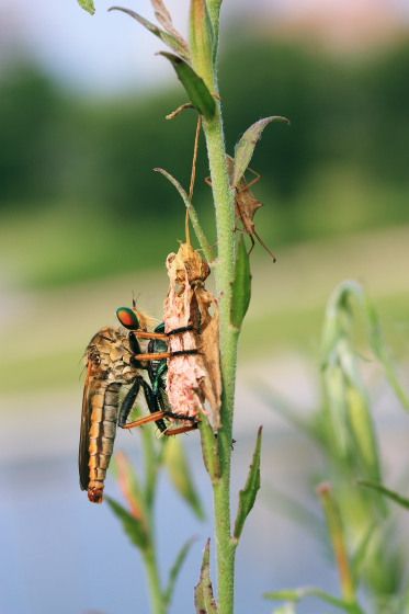  photo 2_zpsc42f8e78.jpg