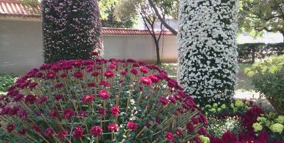  photo 2_zpsc64b5e15.jpg