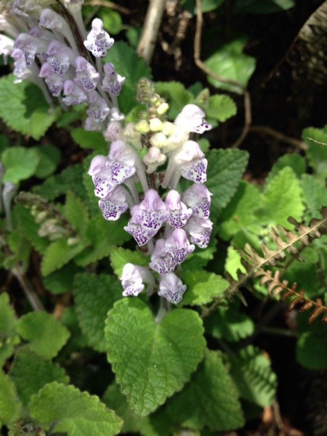  photo 2_zpsdd96e5f9.jpg