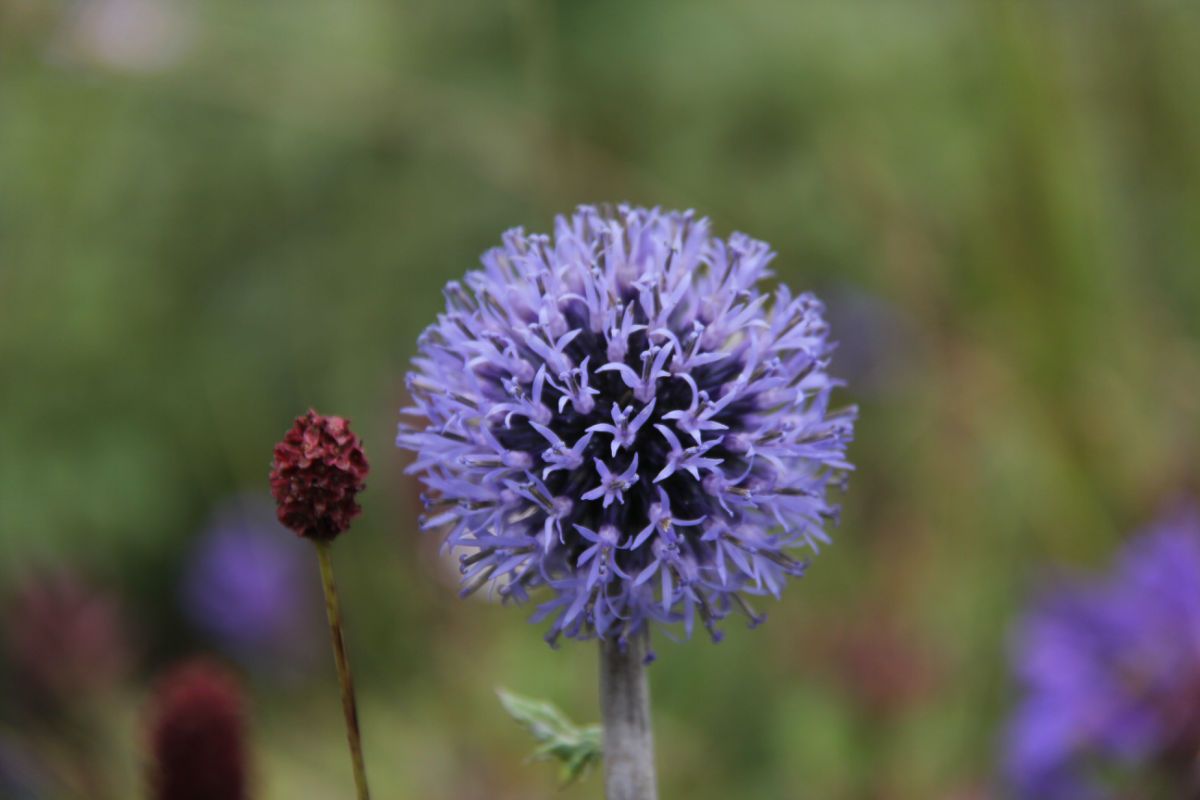  photo 30_zpsafaef256.jpg