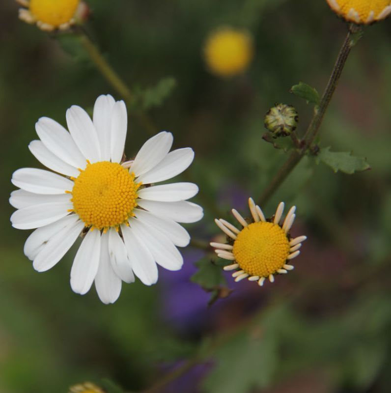  photo 31_zps2831b241.jpg