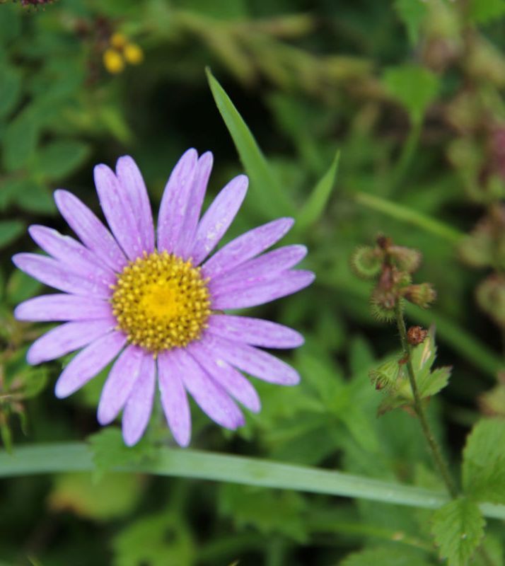  photo 32_zps0d7082d7.jpg