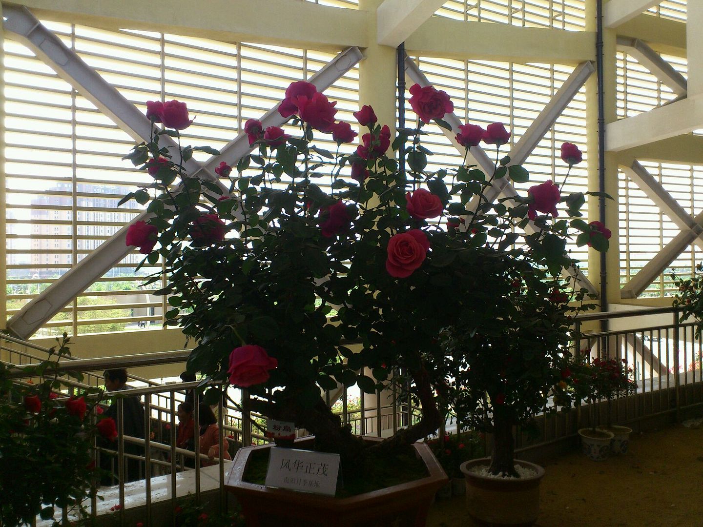  photo 32_zpsb07509e6.jpg