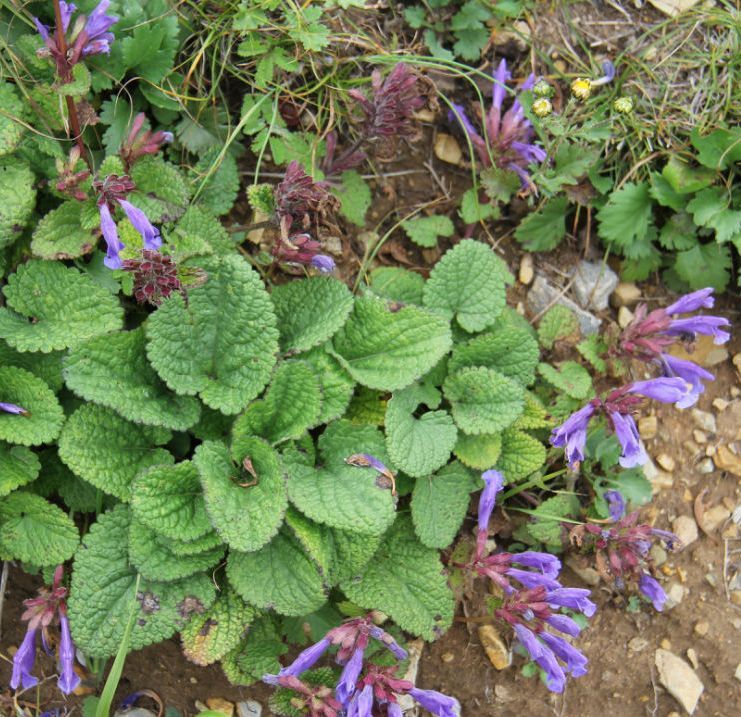  photo 33_zps2185f079.jpg