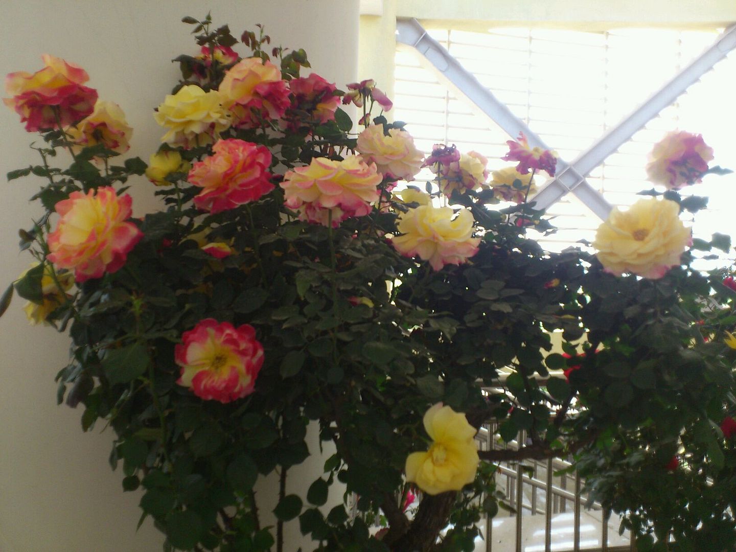  photo 33_zps3df7713a.jpg