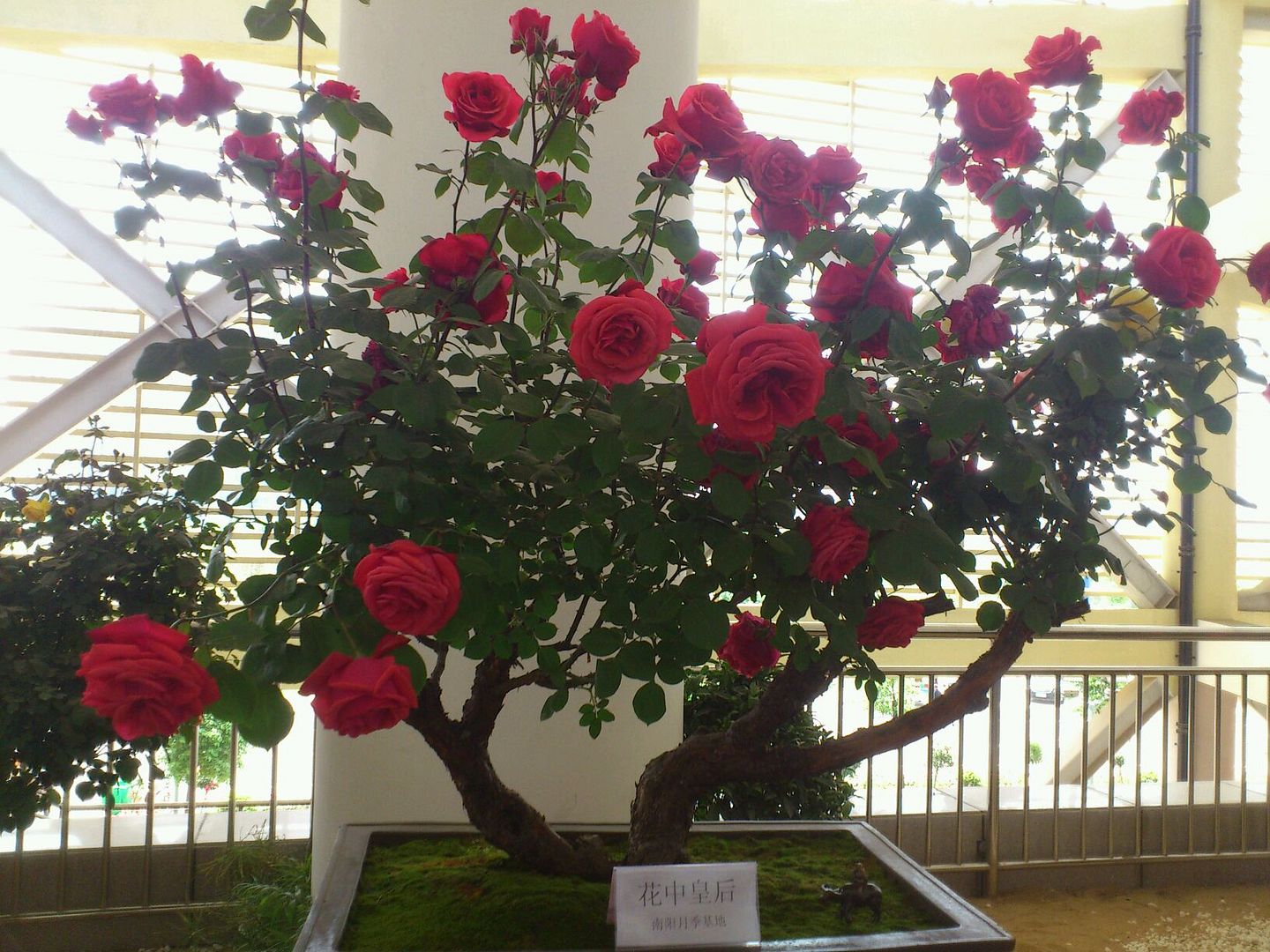  photo 34_zpsc4441cbc.jpg