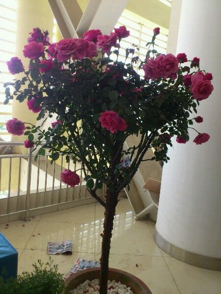  photo 35_zps0072a3f4.jpg