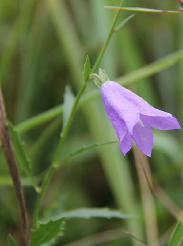  photo 35_zps299bbfdd.jpg